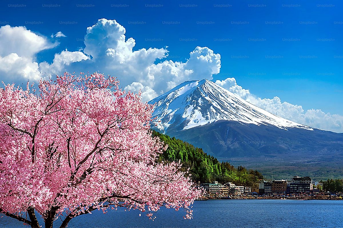 Monte Fuji Fujigawa Japão